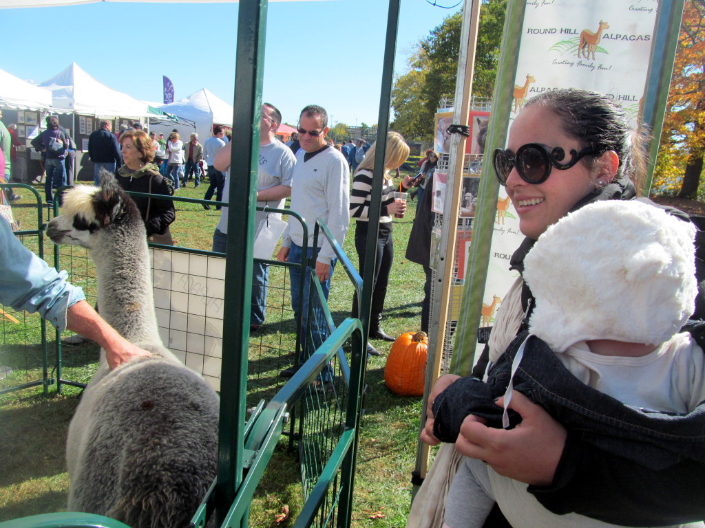 10-20-13-applefest20