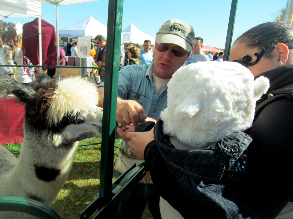 10-20-13-applefest21