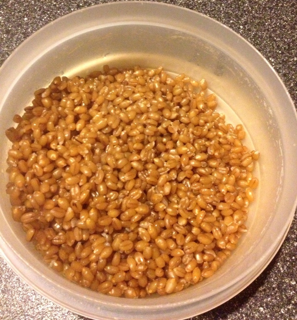I actually prepped the wheatberries on Saturday, then did the rest on Sunday.