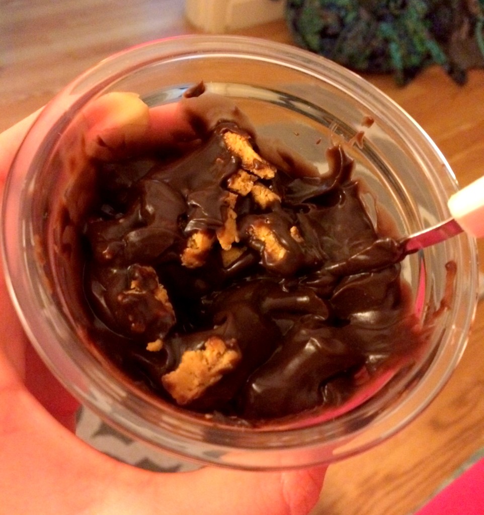 Chocolate pudding was a no brainer with this one.