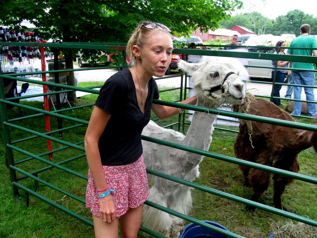 Bye to these shorts (but hello to this awesome llama).